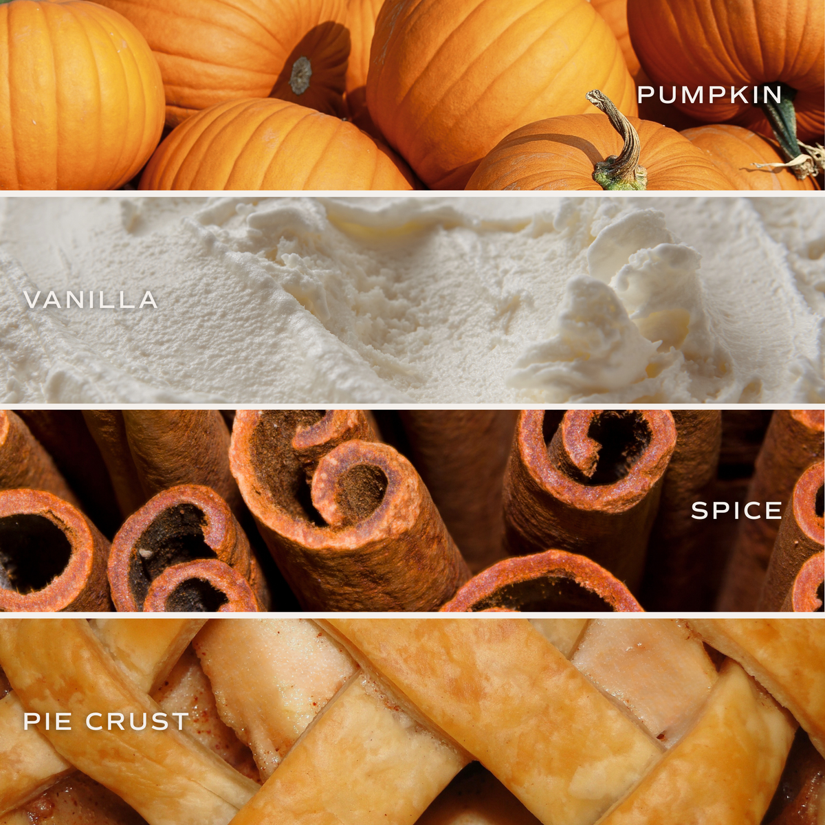 Hello Pumpkin 9 oz Soy Candle